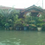 DSC00569
