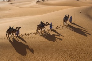 Men Leading Camels in Desert